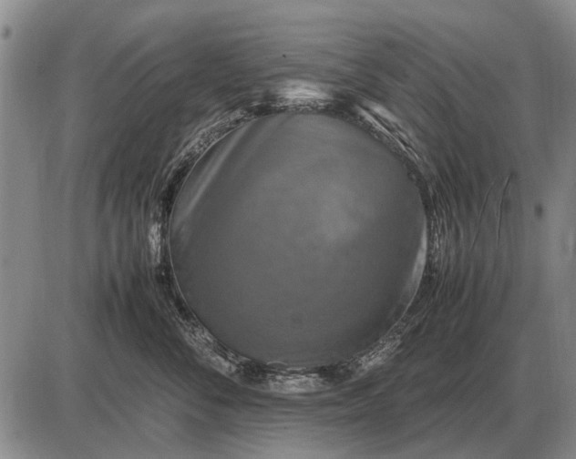 X0000085270716200703231741