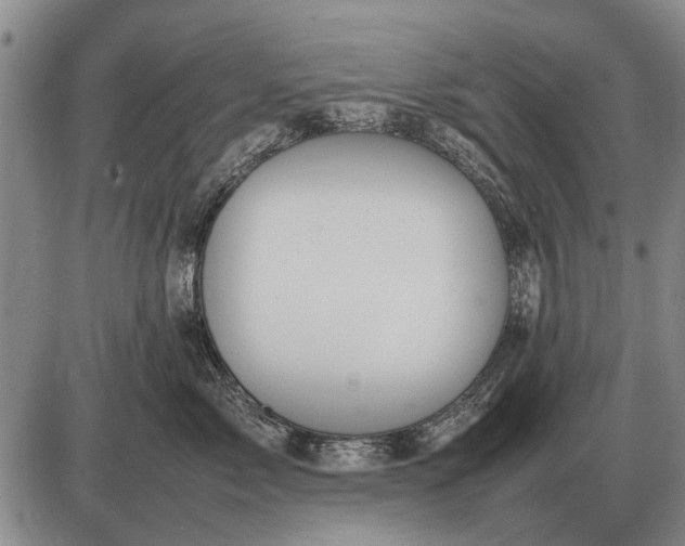 X0000085270717200703231741