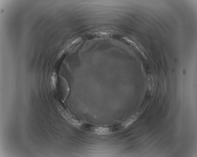 X0000085270718200703231741