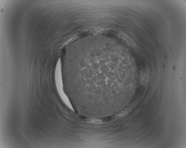 X0000085270719200703231741