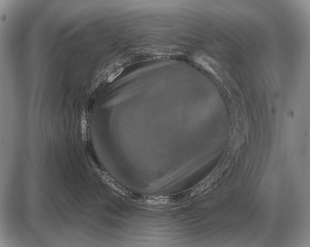 X0000085270720200703231741