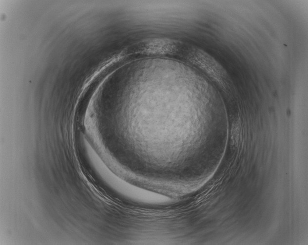 X0000085270722200703231740