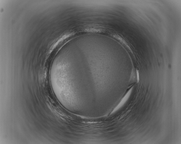 X0000085270723200703231740