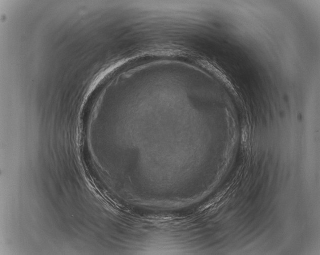 X0000085270724200703231740