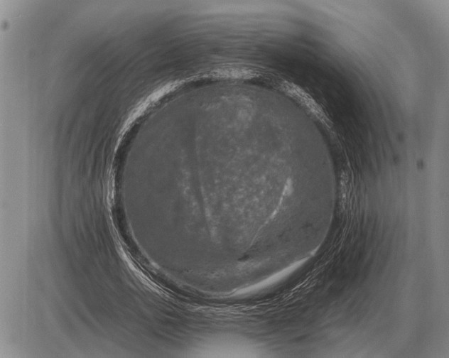 X0000085270726200703231740