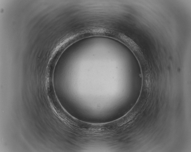 X0000085270728200703231740