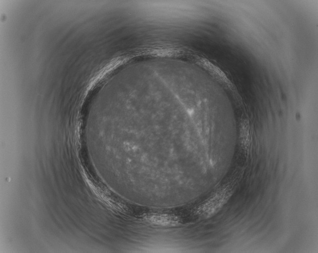 X0000085270730200703231740