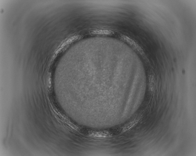 X0000085270731200703231740