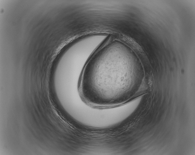 X0000085270732200703231740