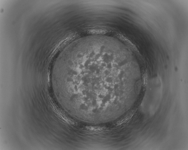 X0000085270733200703231740