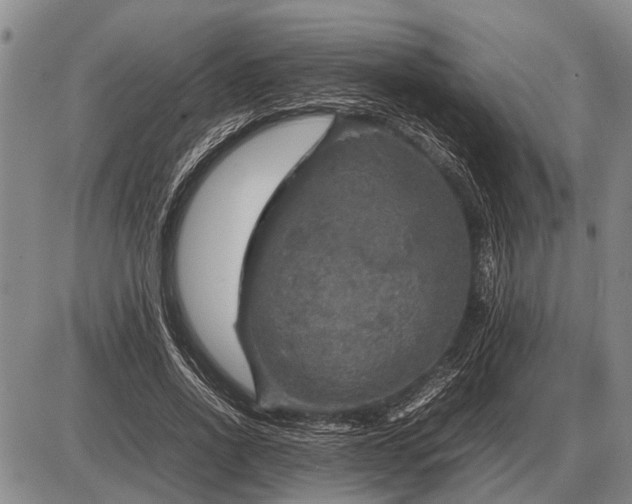 X0000085270734200703231740