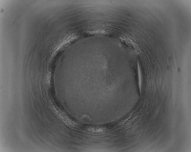 X0000085270735200703231740