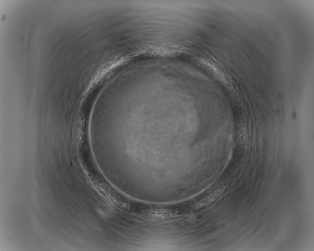 X0000085270736200703231740