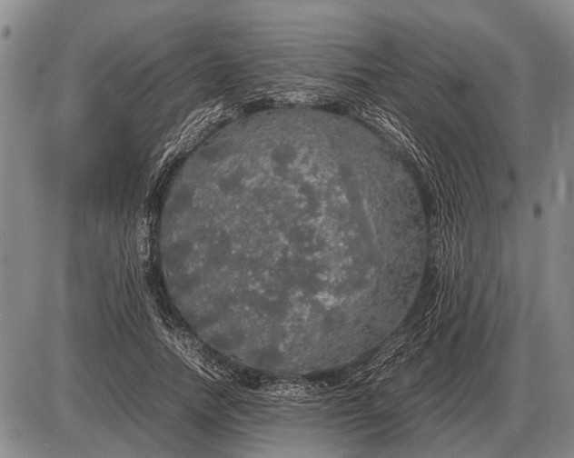 X0000085270738200703231740