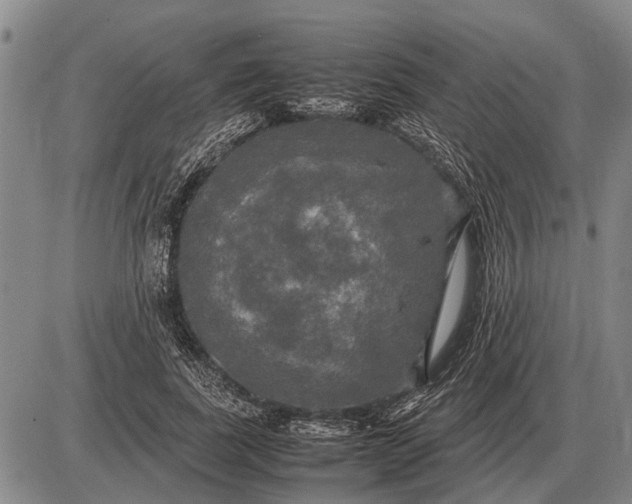 X0000085270739200703231740