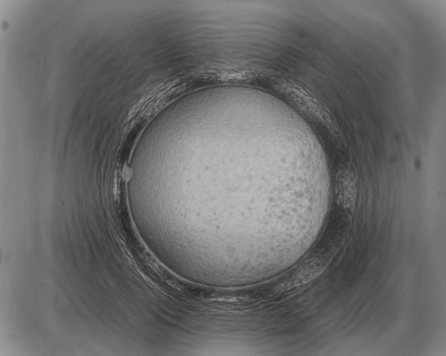 X0000085270740200703231740