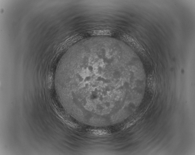 X0000085270741200703231740