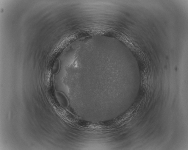 X0000085270742200703231740