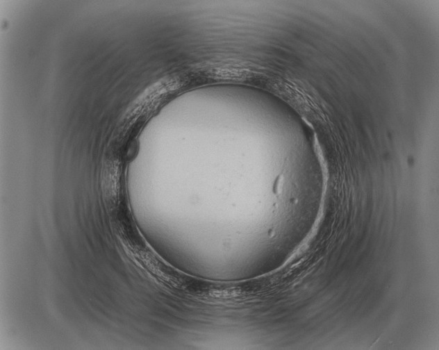 X0000085270744200703231740