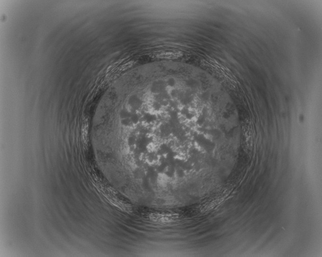 X0000085270745200703231740