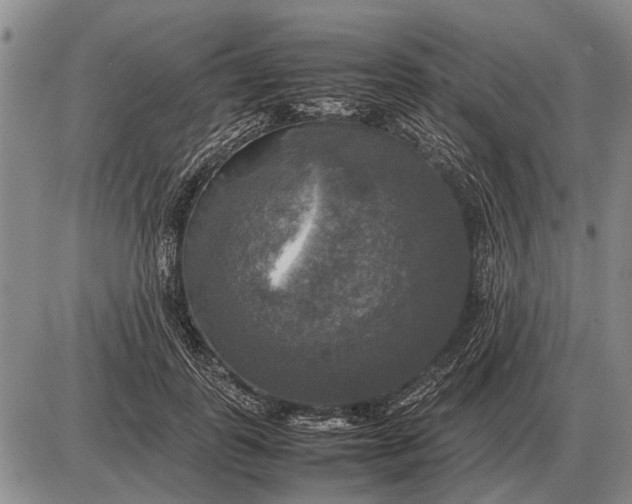 X0000085270747200703231740