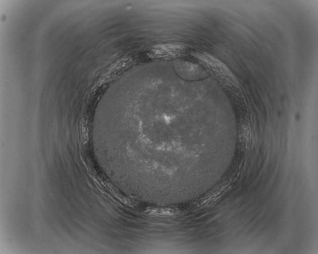 X0000085270751200703231740