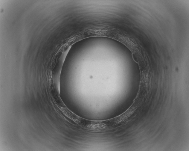 X0000085270752200703231740