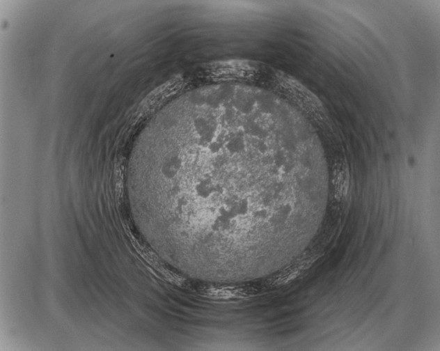 X0000085270753200703231740