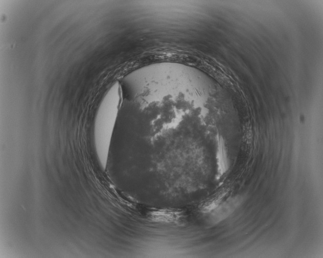 X0000085270754200703231740