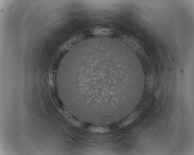 X0000085270755200703231741