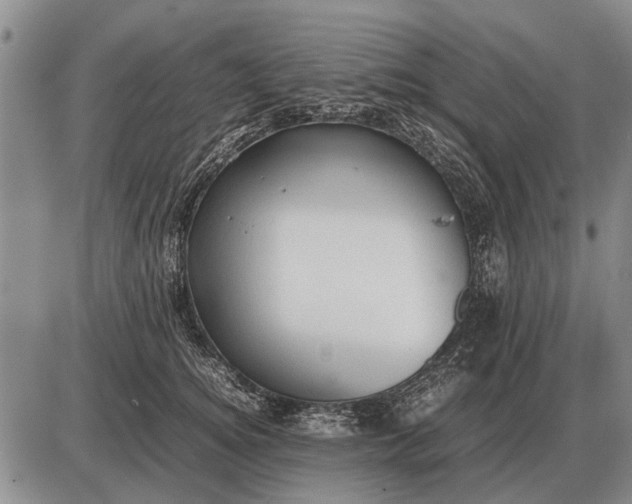 X0000085270756200703231741