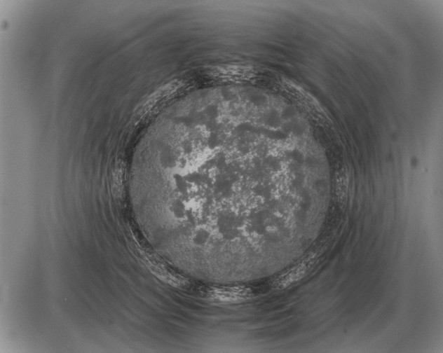 X0000085270757200703231741