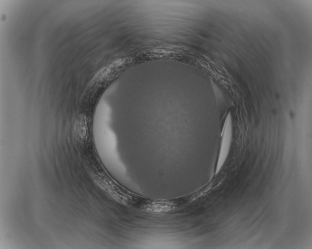 X0000085270758200703231741