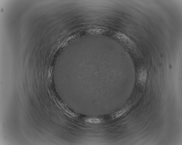 X0000085270759200703231741