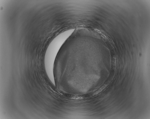 X0000085270760200703231741