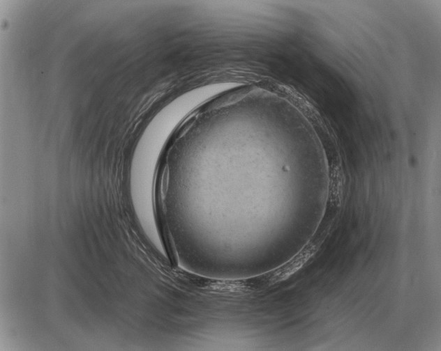 X0000085270762200703231741