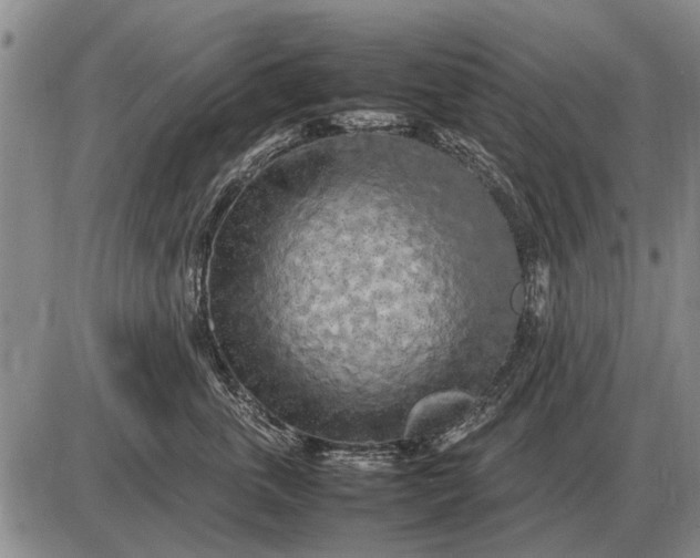 X0000085270763200703231741