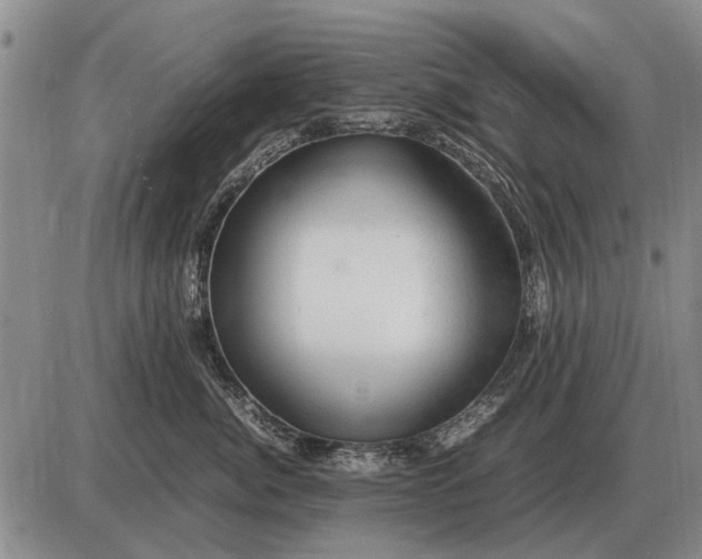 X0000085270764200703231741