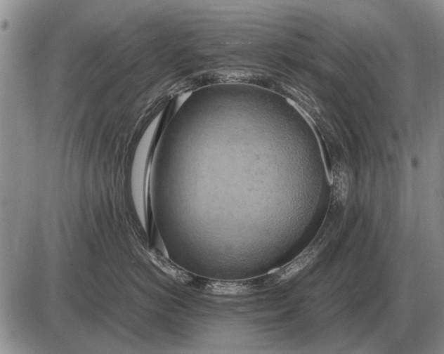 X0000085270766200703231741