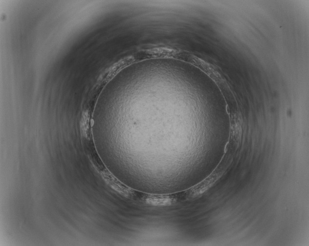 X0000085270767200703231741