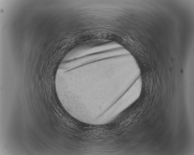 X0000085270769200703231740