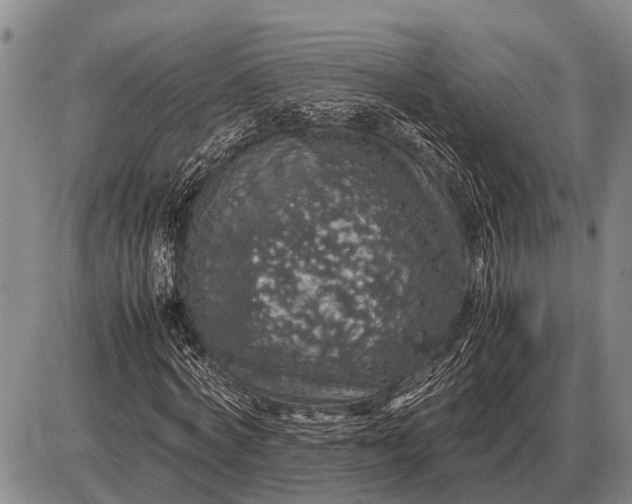 X0000085270772200703231740