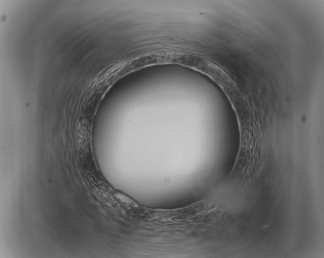 X0000085270773200703231740