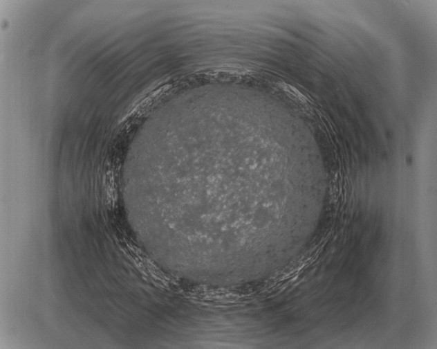 X0000085270774200703231740