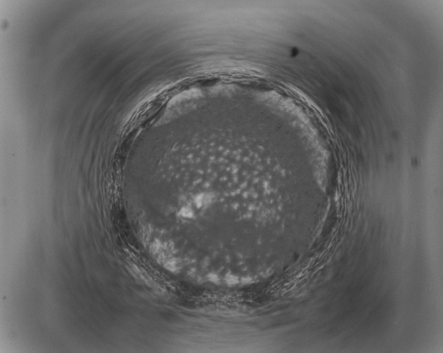 X0000085270775200703231740