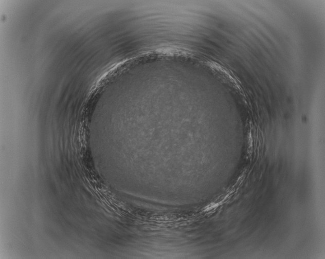 X0000085270776200703231740