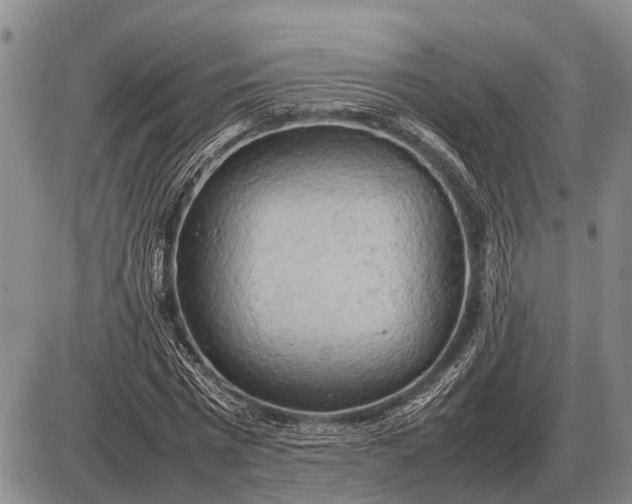 X0000085270777200703231740