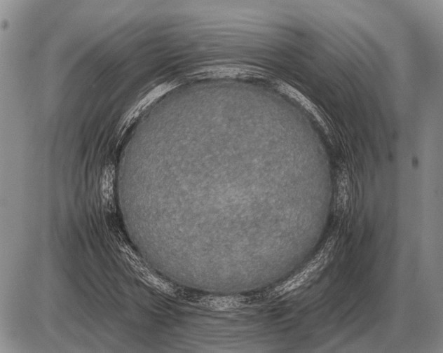 X0000085270778200703231740