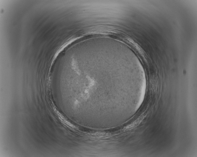 X0000085270779200703231740