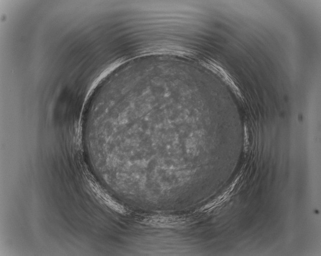 X0000085270780200703231740